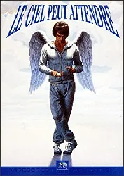 dvd le ciel peut attendre