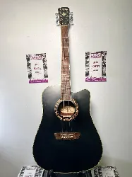 guitare electroacoustique washburn wd6cebm