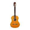 guitare oqan qgc-15 gb