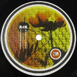 vinyle ron flatter - 1+1 (2008)
