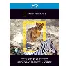 blu-ray national geographic - chasse en meute - l'embuscade, l'assaut et le combat