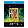 blu-ray national geographic - prédateurs de la jungle et de la savane - blu - ray