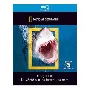 blu-ray national geographic - requins - la vérité sur les tueurs des mers - blu - ray