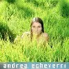 cd andrea echeverri - andrea echeverri (2005)