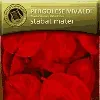 cd giovanni battista pergolesi - stabat mater (2002)