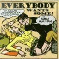 cd various - everybody wants some! (of van halen - a loose interpretation of the musical genius) (1997)