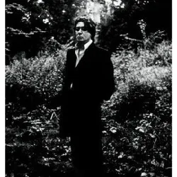 vinyle alain bashung - l'imprudence (2002)