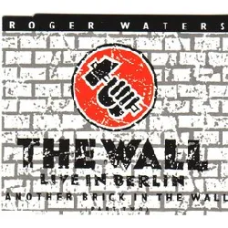 cd roger waters - another brick in the wall (part two) (1990)