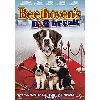 dvd beethoven's 6th:big break