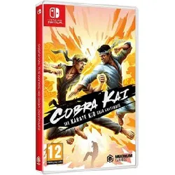 jeu nintendo switch cobra kai the karate kid saga continues