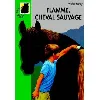 livre l'etalon noir - flamme cheval sauvage