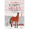 livre les aventures de l'intrépide stroïka dans paris