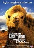 dvd l'histoire du chameau qui pleure