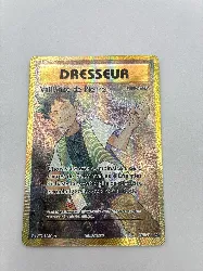 carte pokémon dresseur vaillance de pierre supporter full hart 107/108
