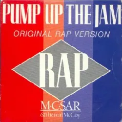 cd real mccoy - pump up the jam - rap (1989)