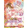 livre saint seiya saintia shô tome 13