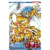livre saint seiya - the lost canvas - chronicles tome 4