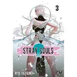 livre stray souls - tome 3