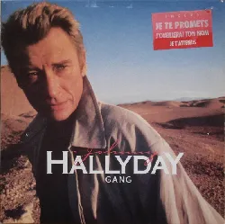 vinyle johnny hallyday - gang (1986)