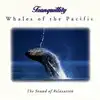 cd anton charles hughes - whales of the pacific (1995)