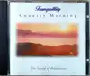 cd anton hughes - country morning (1995)