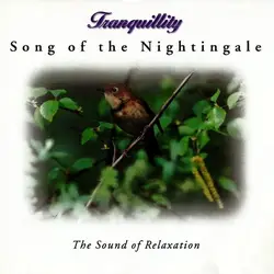 cd atmospheric moods - song of the nightingale (1996)