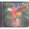 cd rainforest rhythms