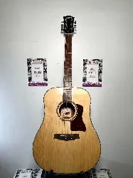 guitare folk jim harley gja jh15-d