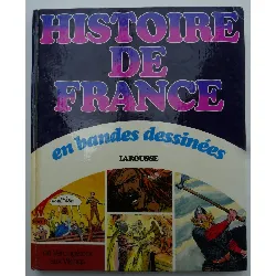 livre histoire de france en bandes dessinées tome 1 - de vercingétorix aux viking