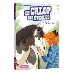 livre le galop des étoiles tome 7 - le cheval du médaillon