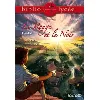 livre le rouge et le noir - chronique du xixe siècle