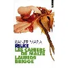 livre les cahiers de malte laurids brigge