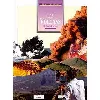 livre les volcans