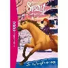 livre spirit - au galop en toute liberté tome 4 - la tempête de neige