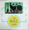 vinyle duran duran - the wild boys (1985)