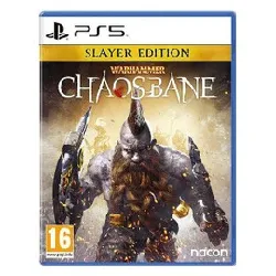 jeu ps5 warhammer : chaosbane slayer edition