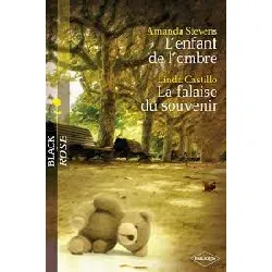 livre l'enfant de l'ombre ; la falaise du souvenir