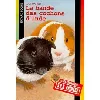 livre la bande des cochons d'inde