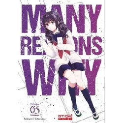 livre many reasons why tome 5