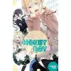 livre my fair honey boy tome 4