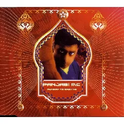 vinyle panjabi mc - beware of the boys (mundian to bach ke) (2003)