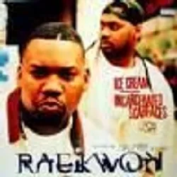 vinyle raekwon - ice cream / incarcerated scarfaces (1995)