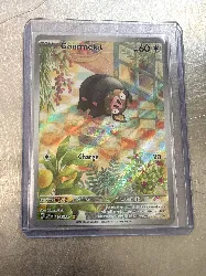 carte pokemon gourmelet 209/197