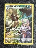 carte pokemon hachécateur tg08/tg30