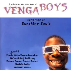 cd a tribute to the very best of the venga boys [uk import]