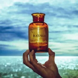 cd blackfield - v (2017)