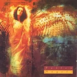 cd the fallen angels (6) - fallen angels (1992)