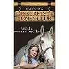 livre les secrets du poney - club n°1 , isabelle remonte en selle