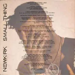 vinyle newkirk - small thing (1991)