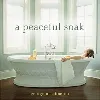 cd george nascimento - a peaceful soak (2005)